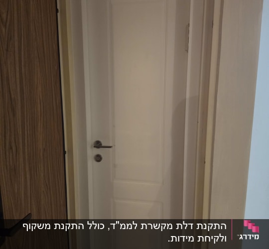 דלת פנים מעוצבת בצבע לבן עם מילואות וידית מעוצבת